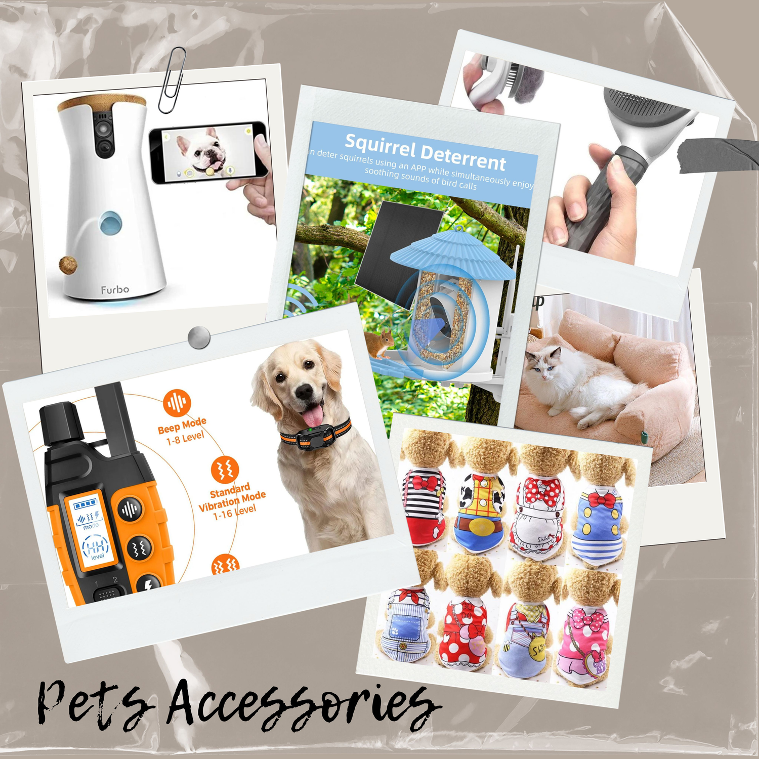Pet Accessories
