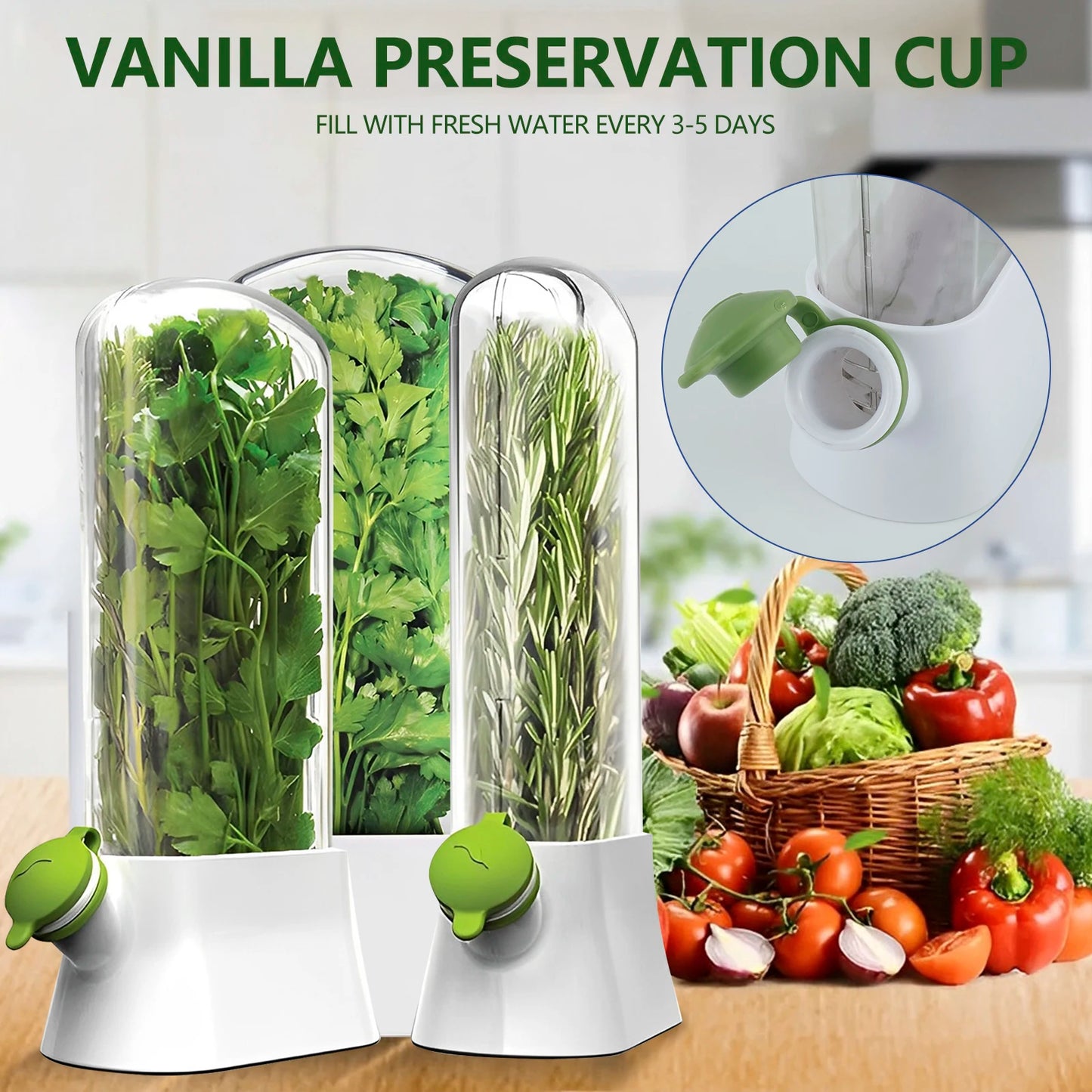 Vegetable Breathable preserve Plastic Container