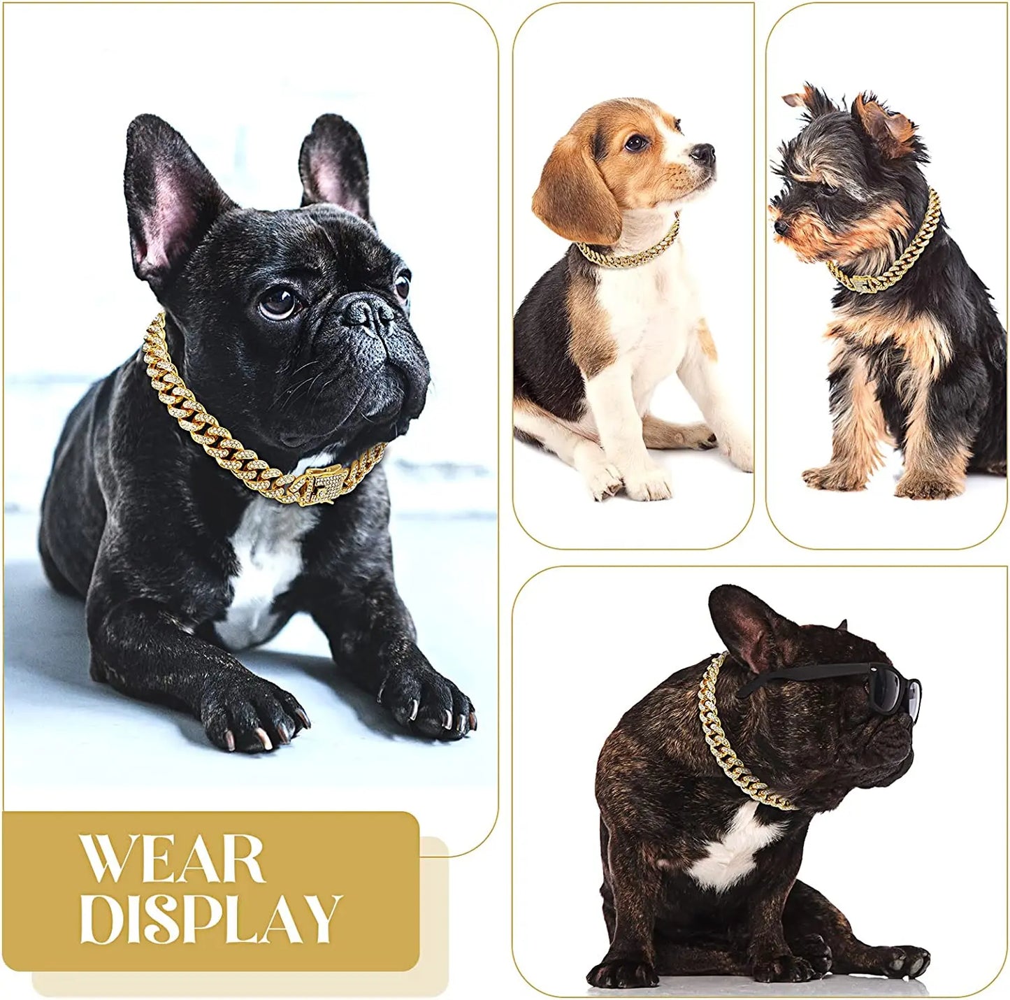 Luxury Gold Chain Collar for Small Medium Large Dogs Cats